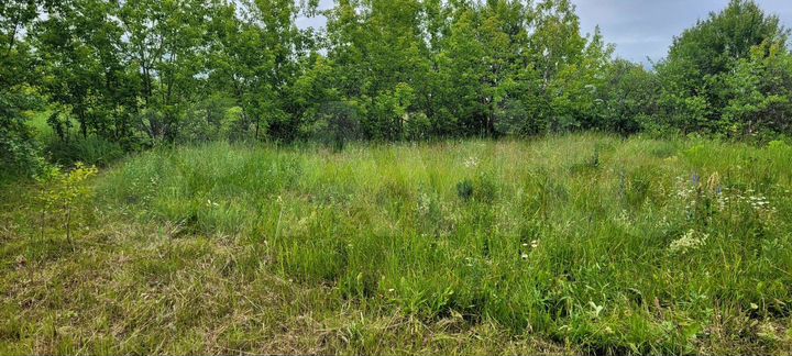 Участок 6 сот. (ИЖС)