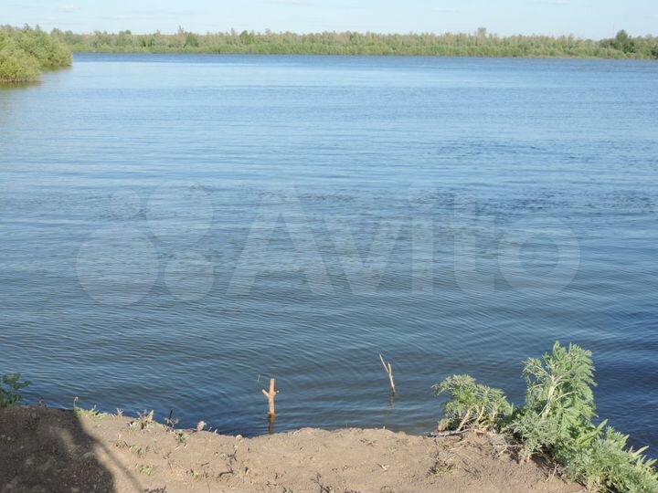 Участок 10 сот. (СНТ, ДНП)