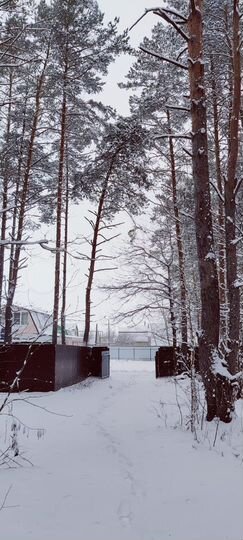 Дом 139 м² на участке 14 сот.