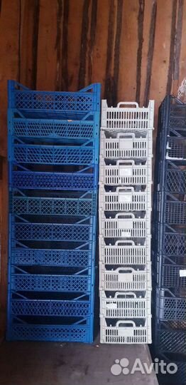 Пластиковые ящики для овощей, ягод и грибов