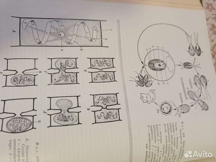 Учебник биологии для поступающих в вузы