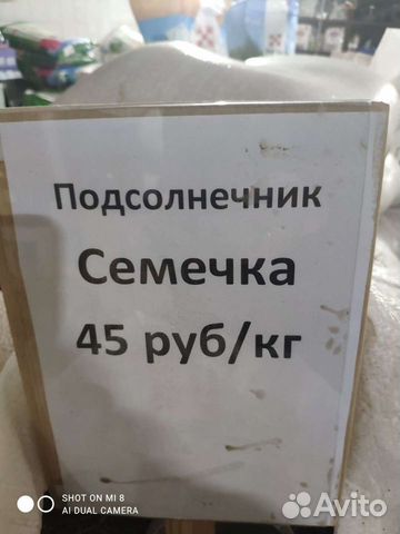 Семечки подсолнечника