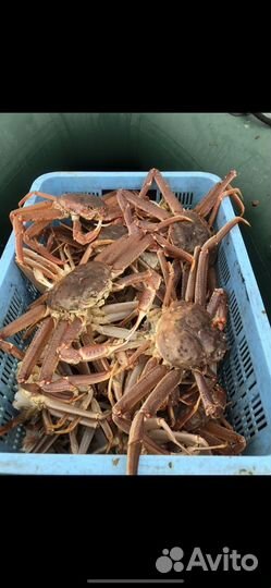 Продам краба