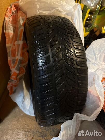 Sava Adapto 195/55 R15