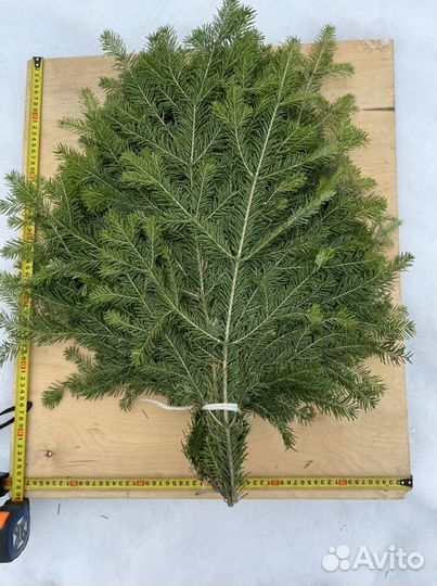 Пихтовые веники