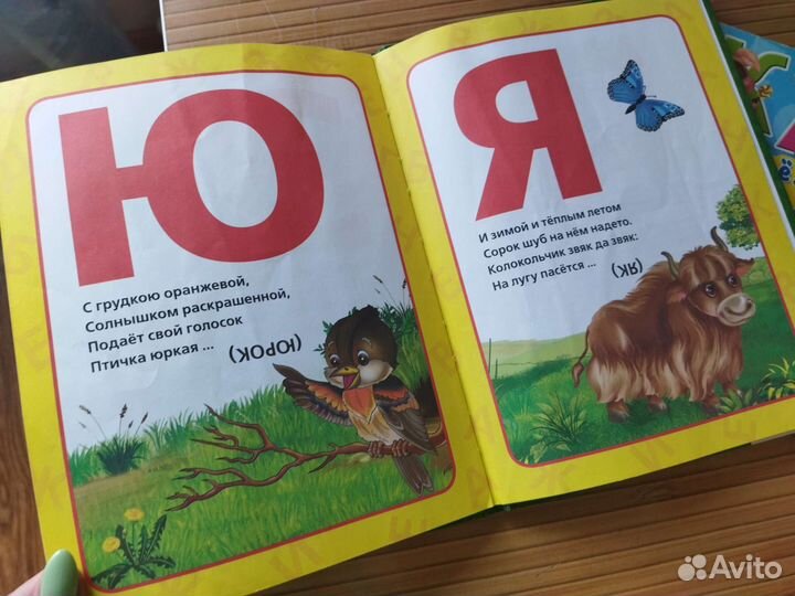 Азбука дошкольника две разных,цена за две