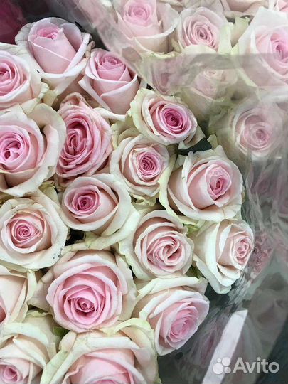 Розы мелкий опт