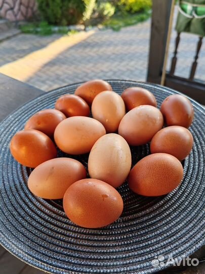 Яйцо куриное столовое