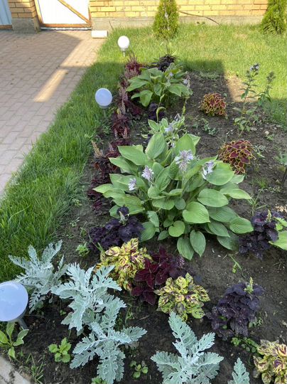 Коттедж 278 м² на участке 8 сот.