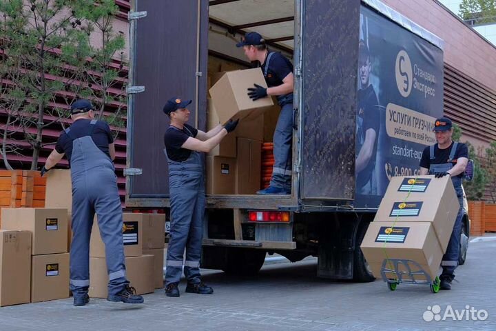 Разнорабочие адекватные