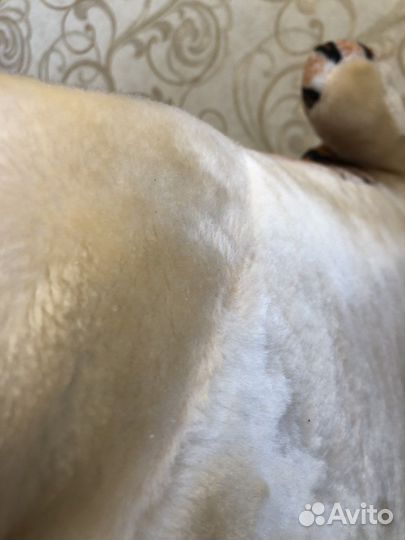 Мягкая игрушка тирг