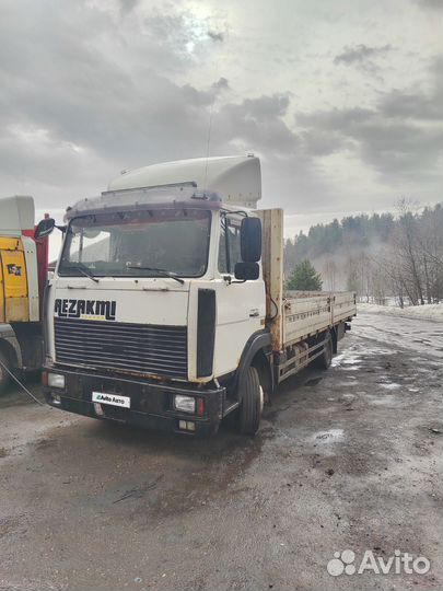 МАЗ 437041-262, 2006