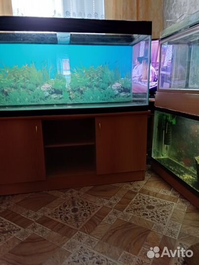 Аквариумы