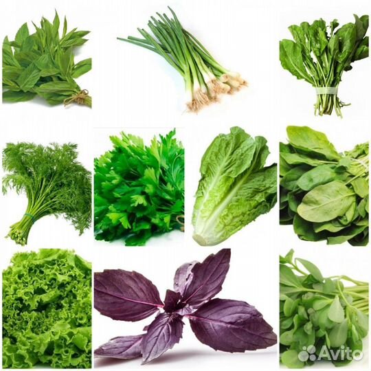 Зелень в ассортименте