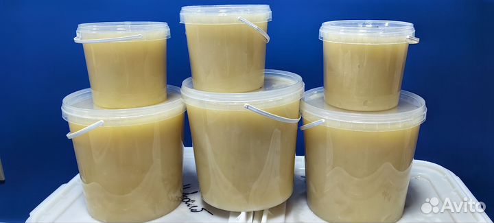 Мед Белый/ Донниковый 2024