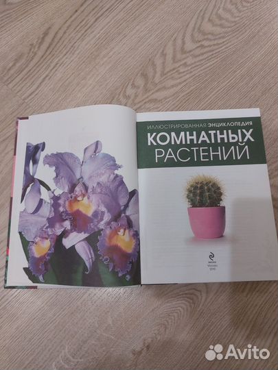 Книга комнатных растений