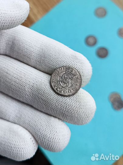 Серебро Ливонии (1617-1663)