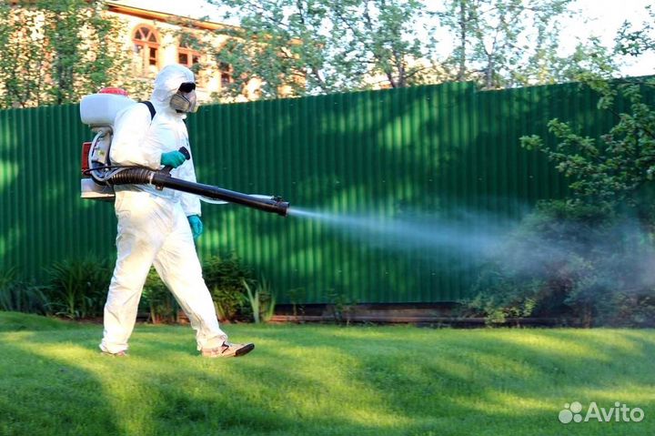 Уничтожение клопов тараканов лечение растений