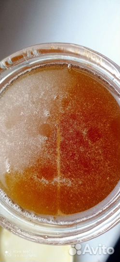 Мёд разнотравый