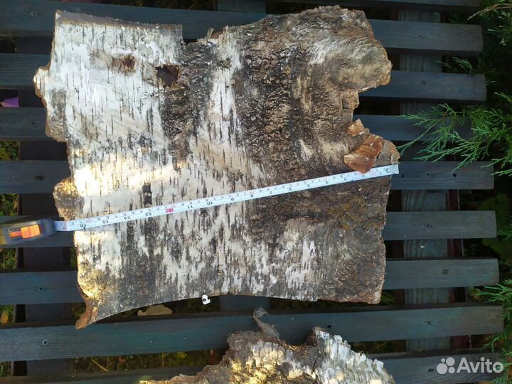 Кора березы. Береста