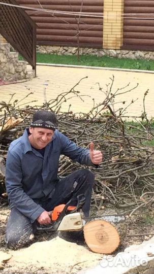 Спил деревьев