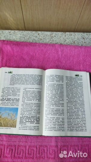 География:природа России