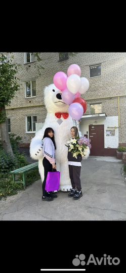 Белый Мишка поздравление/Ростовая кукла/Аниматор