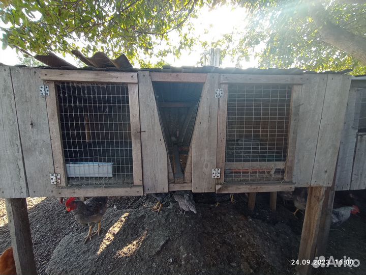 Клетка для кролика