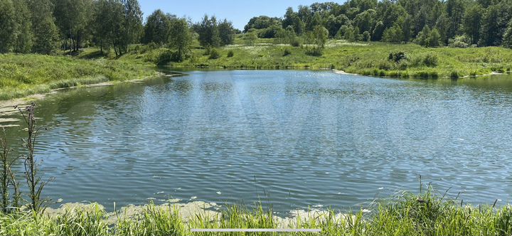 Участок 3,9 га (СНТ, ДНП)