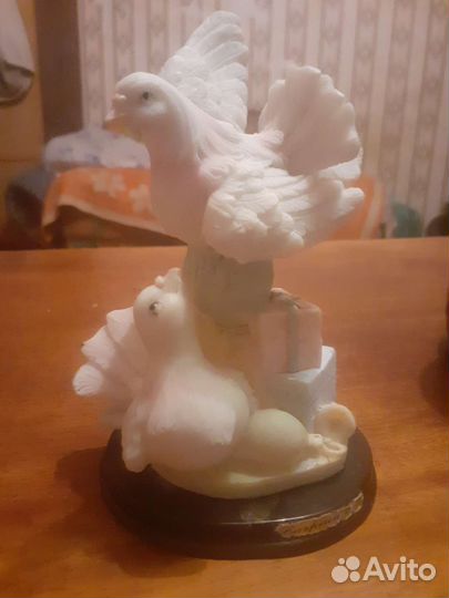 Кот и голуби