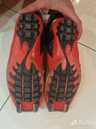 Лыжероллерные карбоновые ботинки Alpina skate