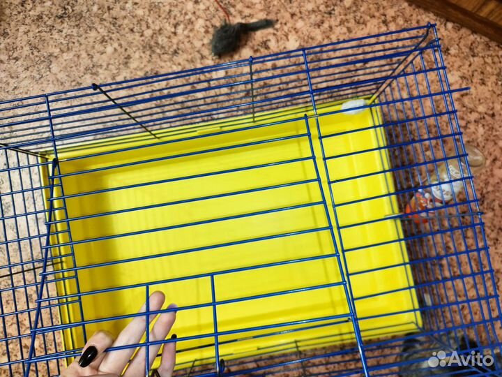 Клетка для грызунов бу