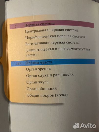 Атлас анатомии человека Г.Л. Билич Том 3