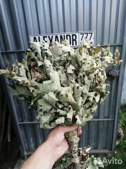 Дубовые веники для бани