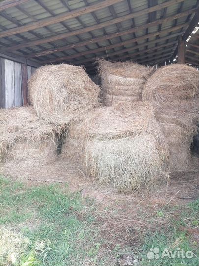 Сено в рулонах