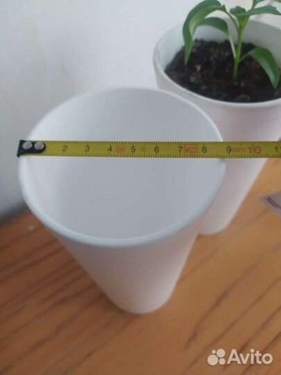 Стаканчики для рассады