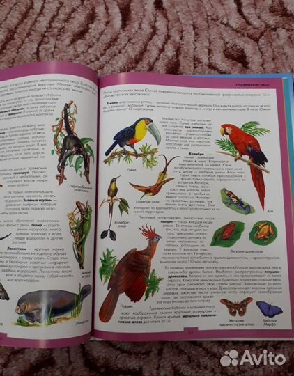 Книга для детей