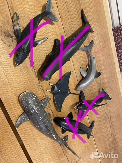 Большая Косатка и Кашалот большой