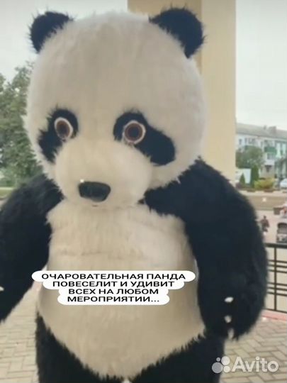 Подарочный сертификат