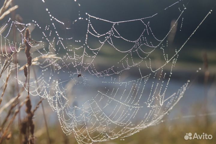 Конный поход Ночное