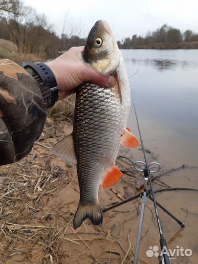 Обучение рыбалке (рыбной ловле)