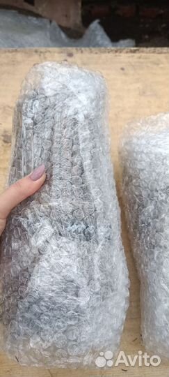 Черенки смородины