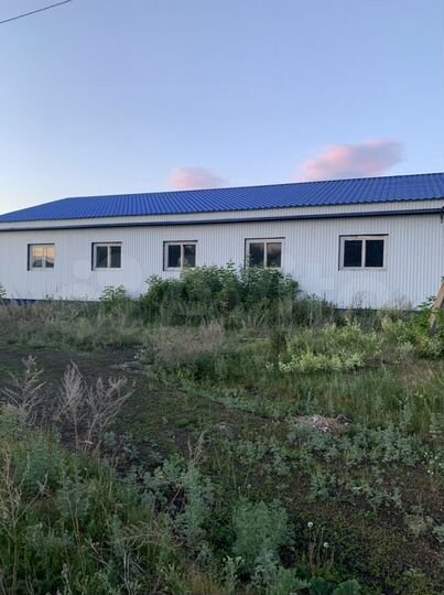 Свободного назначения, 101.9 м²