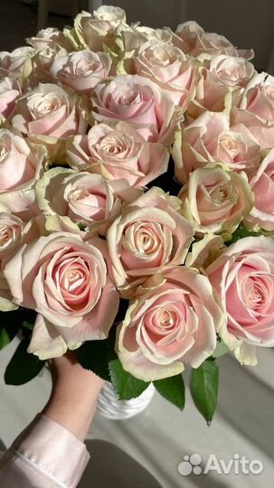 Букет из 21 розы Доставка от 21шт