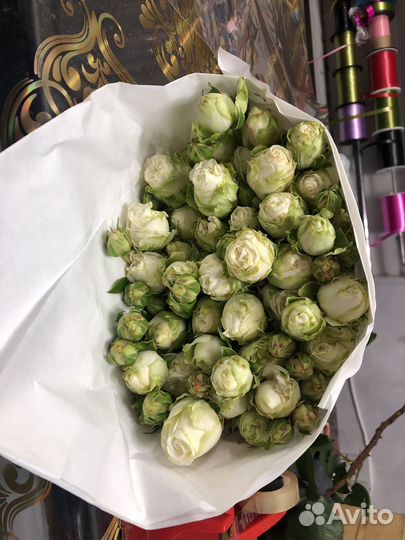 Кустовая роза/пионовидная роза опт