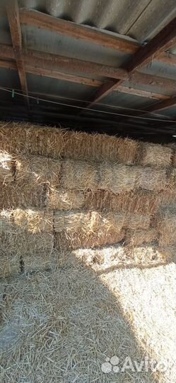 Солома в тюках