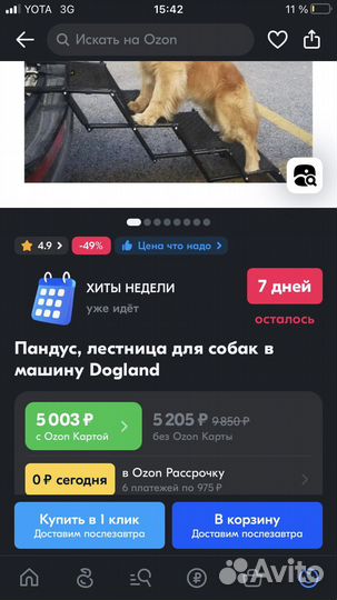 Лестница-трап для собак