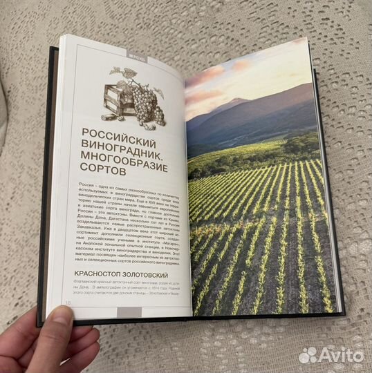 Винный гид России 2025