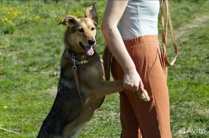 Молоденькая Джуди ищет свою семью, 2г