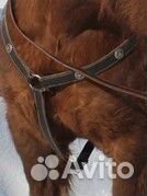 Конная амуниция